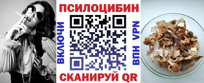 omg онион  наркотики  это Telegram  Псилоцибиновые грибы ЛСД  Сунжа 